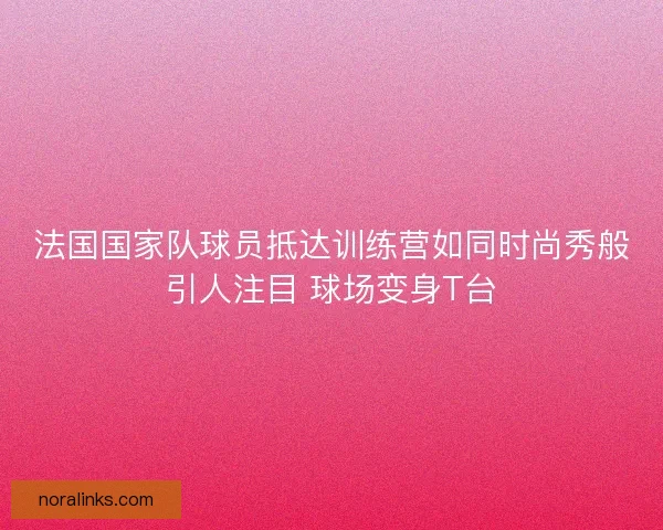 法国国家队球员抵达训练营如同时尚秀般引人注目 球场变身T台